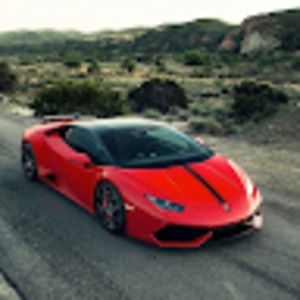 Meet your Posher, Steve